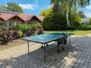 balatoni-hotel-platan-garden-rooms-foglalas-kert 3