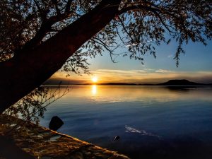 baltoni-programok-zamardi-platan-hotel 3