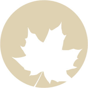 cropped-platan-hotel-zamardi-fav-icon.png 1