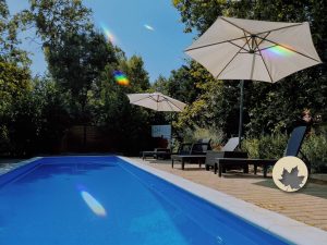 Sonnenschirme und Liegestühle neben dem Pool des Platán Garden & Rooms