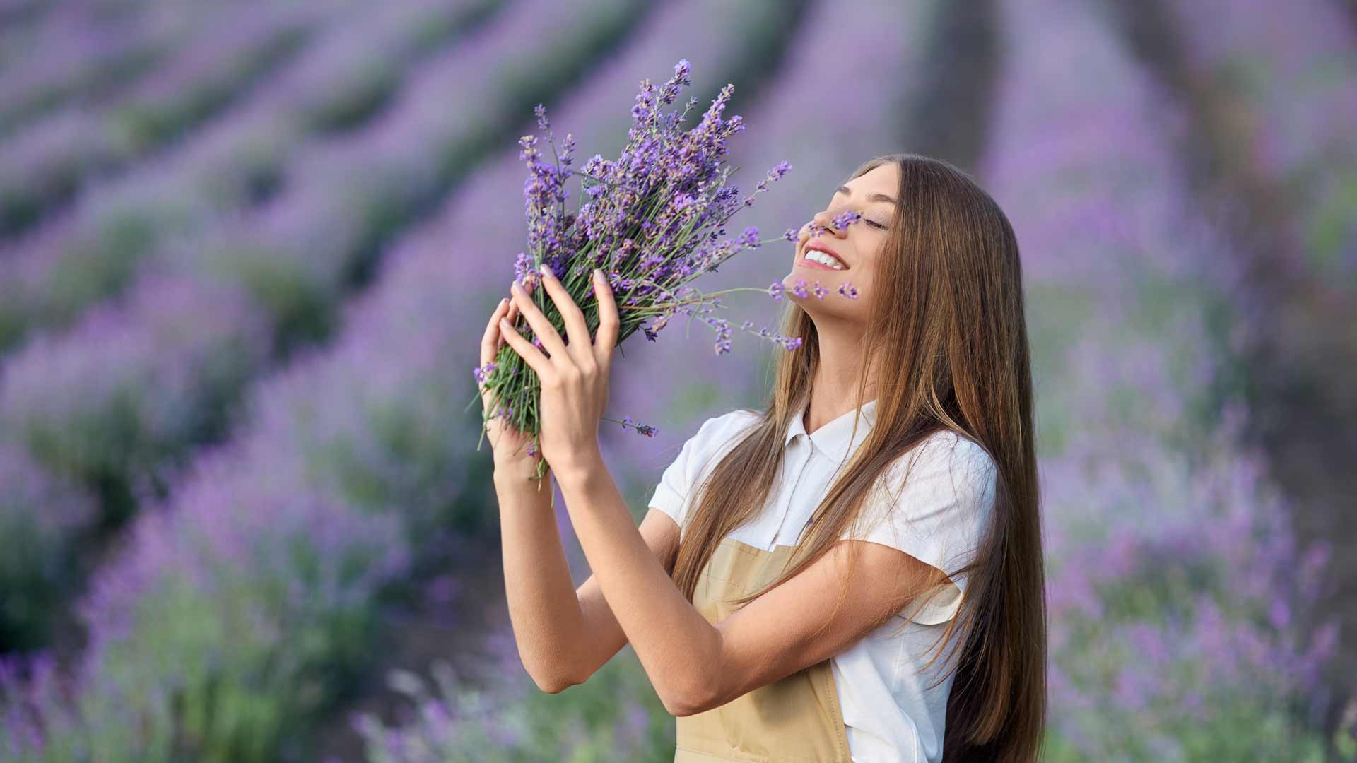 Lilába öltözik a Balaton környéke - Levendula fesztiválok 2023-ban 1 levendula fesztivál szállás Balaton Platán Hotel