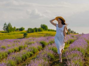 lenedulahetek levendula Balaton Kőröshegyi Levendulás Zamárdi Platán hotel