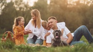 Platán Hotel Zamárdi