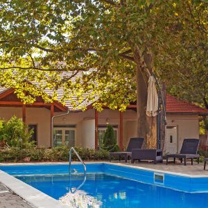 Platán Hotel Balaton Zamárdi medence
