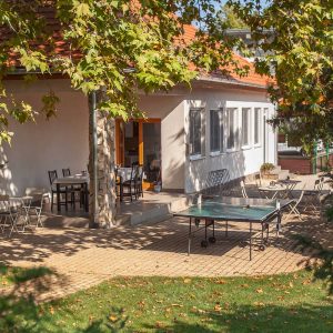 Platán Hotel Balaton Zamárdi ping pong