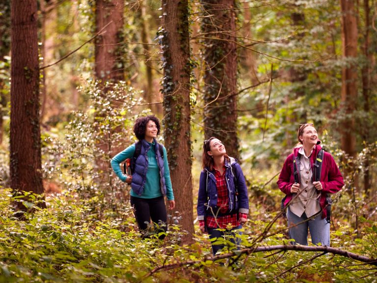 Zamárdi túra 2025. 2